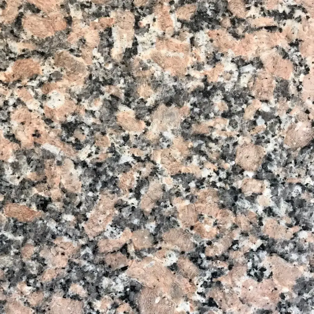 [T50] ROSA DEL SALTO SELECCION